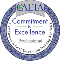 CAETA Commitment to Excellence agentlerest