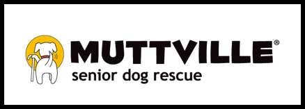 MUTTVILLE senior dog rescue agentlerest